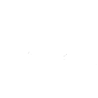 团队